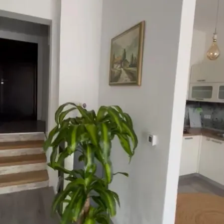Apartment Nicole
